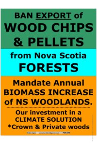 Ban Wood Chips & Pellets EXPORTS